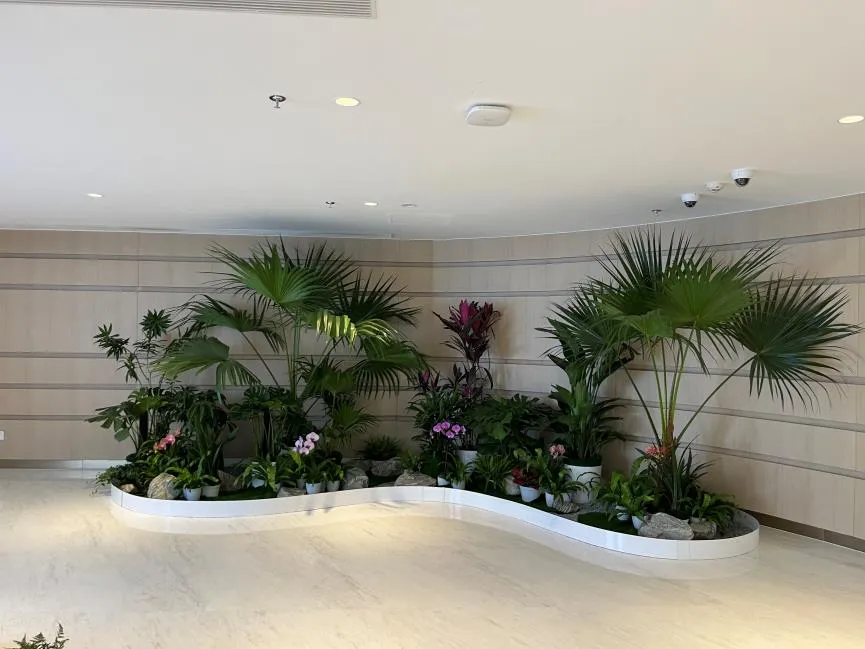 海曙花卉租赁哪家好